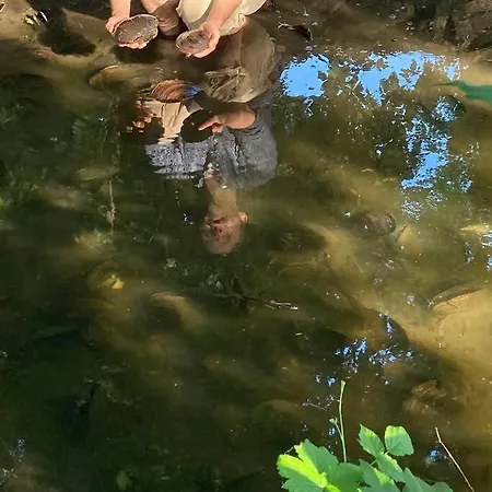 Neues Gesindehaus * Rötha