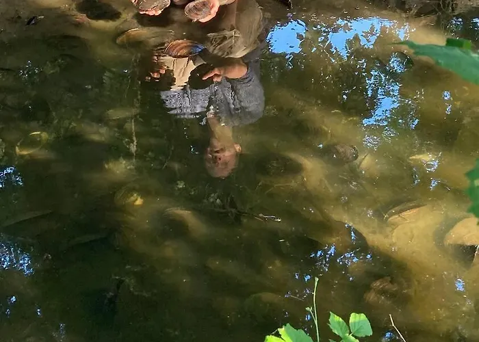 Neues Gesindehaus * Rotha